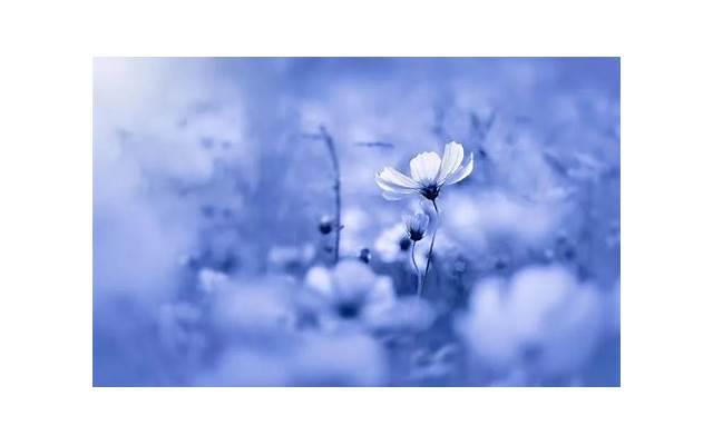 【水瓶座女生性格特点的优势和劣势是什么？】