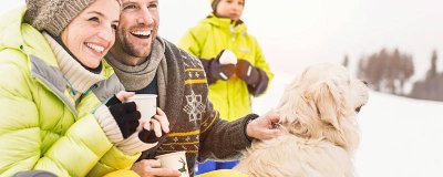 ​狗狗吃什么可以让毛发长得很快 狗狗吃什么可以毛发旺盛