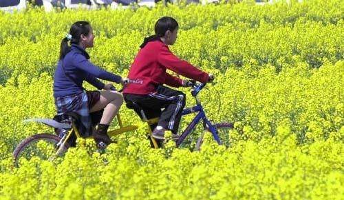 清明节的习俗,清明节有哪些传统风俗活动简介20字图4