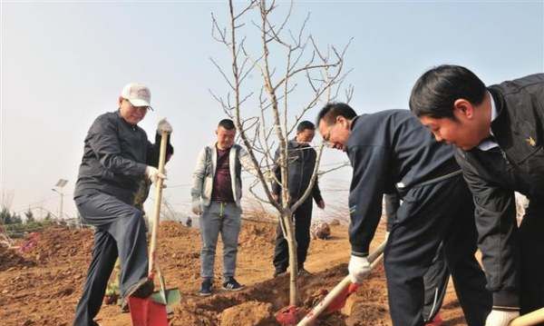 清明节的习俗,清明节有哪些传统风俗活动简介20字图3