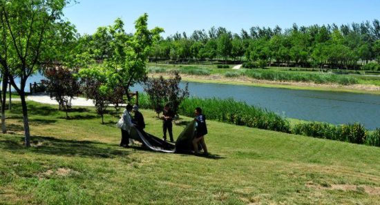 清明节的习俗,清明节有哪些传统风俗活动简介20字图26