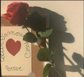 ​属于文科生的浪漫文案