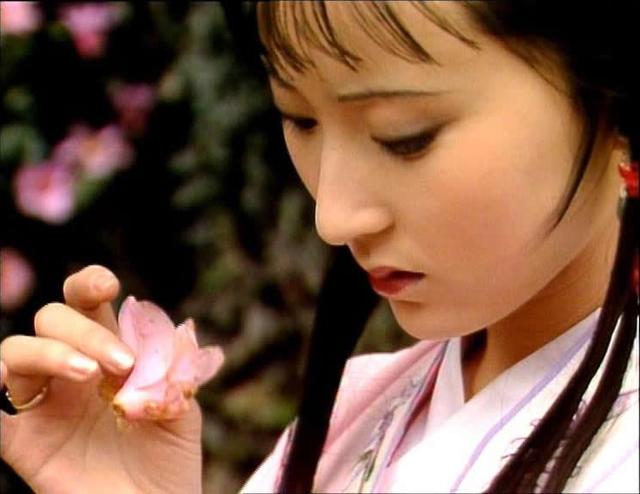 红楼梦薛蟠进京的原因（红楼梦里薛蟠为何要折腾两三年）(6)