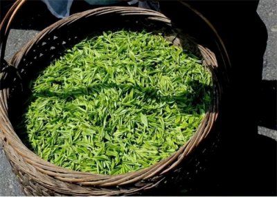 ​网上买茶靠谱吗？为什么那么多人喜欢在网上买茶？看完长知识了