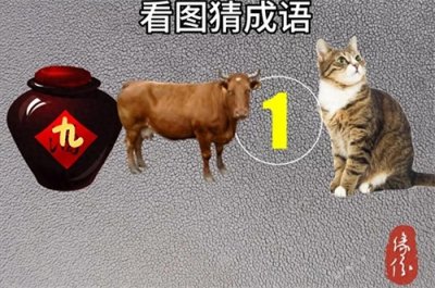 ​趣味看图猜成语【第一期】仔细观察答案就在图片中！