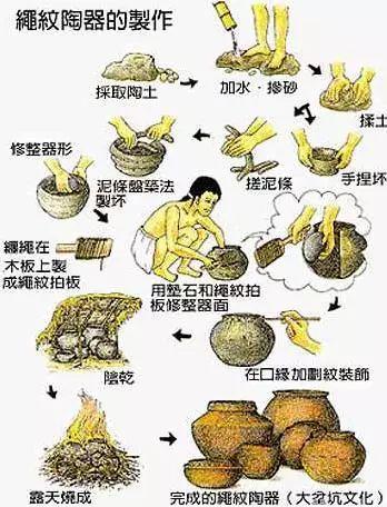 毛利人是哪个国家的人(毛利人是什么人种)