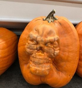 ​20张不可思议的照片，平凡事物的惊人变形秀