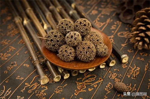 中药材图集|常见的中药材到底长啥样?最后一种多数人没听过