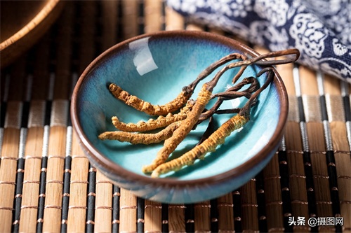 中药材图集|常见的中药材到底长啥样?最后一种多数人没听过