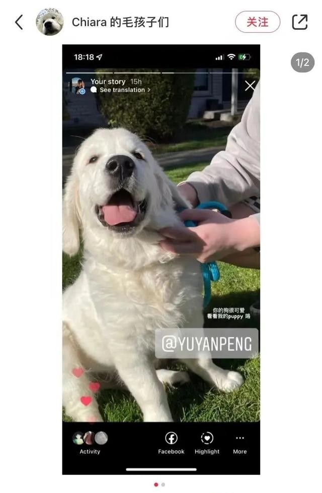 彭于晏真帅什么梗(彭于晏隔离期疯狂翻牌网友)