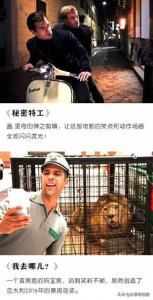 ​推荐18部超级搞笑的喜剧片，保证让你开心到飞起