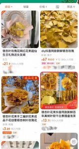 ​300片黄色银杏叶55.98元，500片银杏叶107.8元，网友：致富之路有了