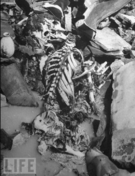 一组图告诉你,原子弹在日本爆炸的瞬间