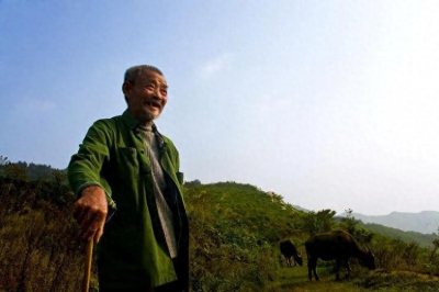 ​天降奇宝！西藏老人山间放牛路上意外发现2亿价值的九眼天珠