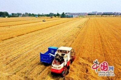​江苏睢宁：农业现代化示范区创建 全力打造农业农村现代化县域范例