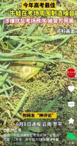 ​云南：一牛蛙在考场附近制造噪音，涉嫌扰乱考场秩序被警方带走