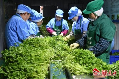 ​武山：浆水新品走四方