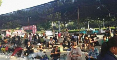​山东蟋蟀经济：一个小镇几十天，有超过6亿资金在当地流动